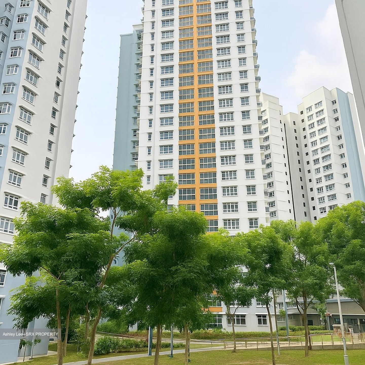 Blk 2D Kallang Heights (Kallang/Whampoa), HDB 4 Rooms #503612991